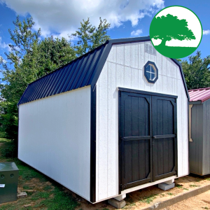 10' x 16' Painted "Lofted Barn"